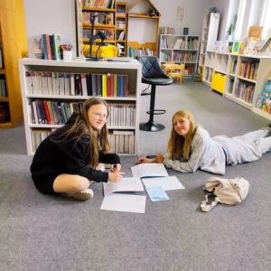 wolontariat językowy zakończenie